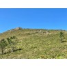 Ruta Pico da Vela.